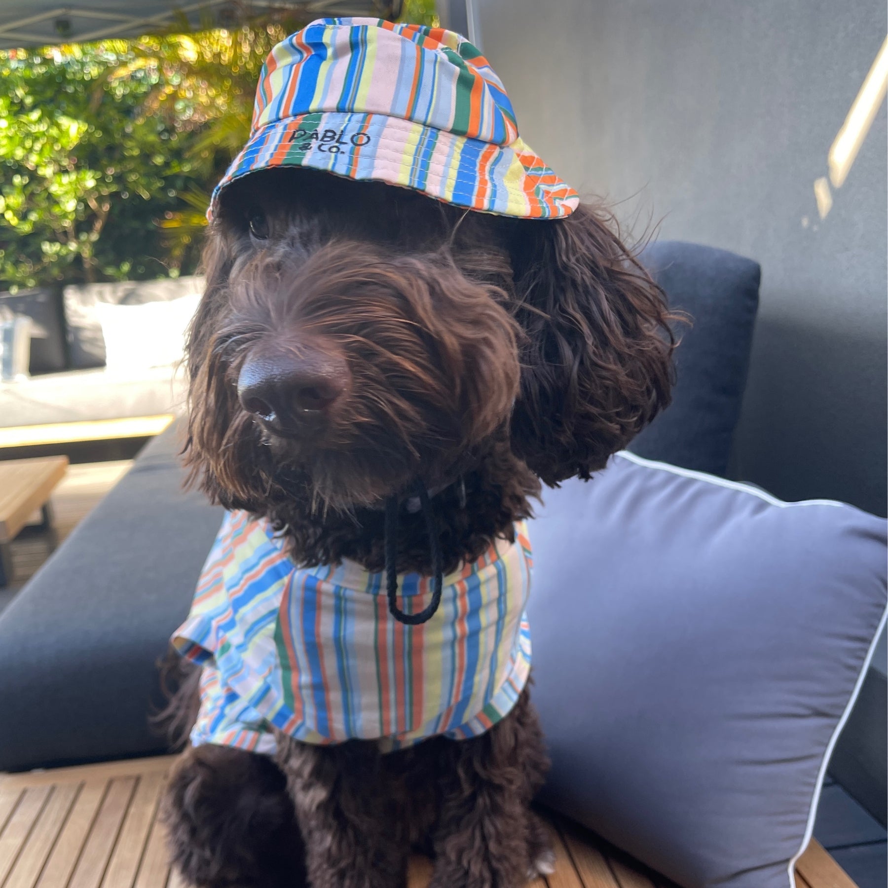 The Cabana Cooling Dog Rashie - Pooch Luxury