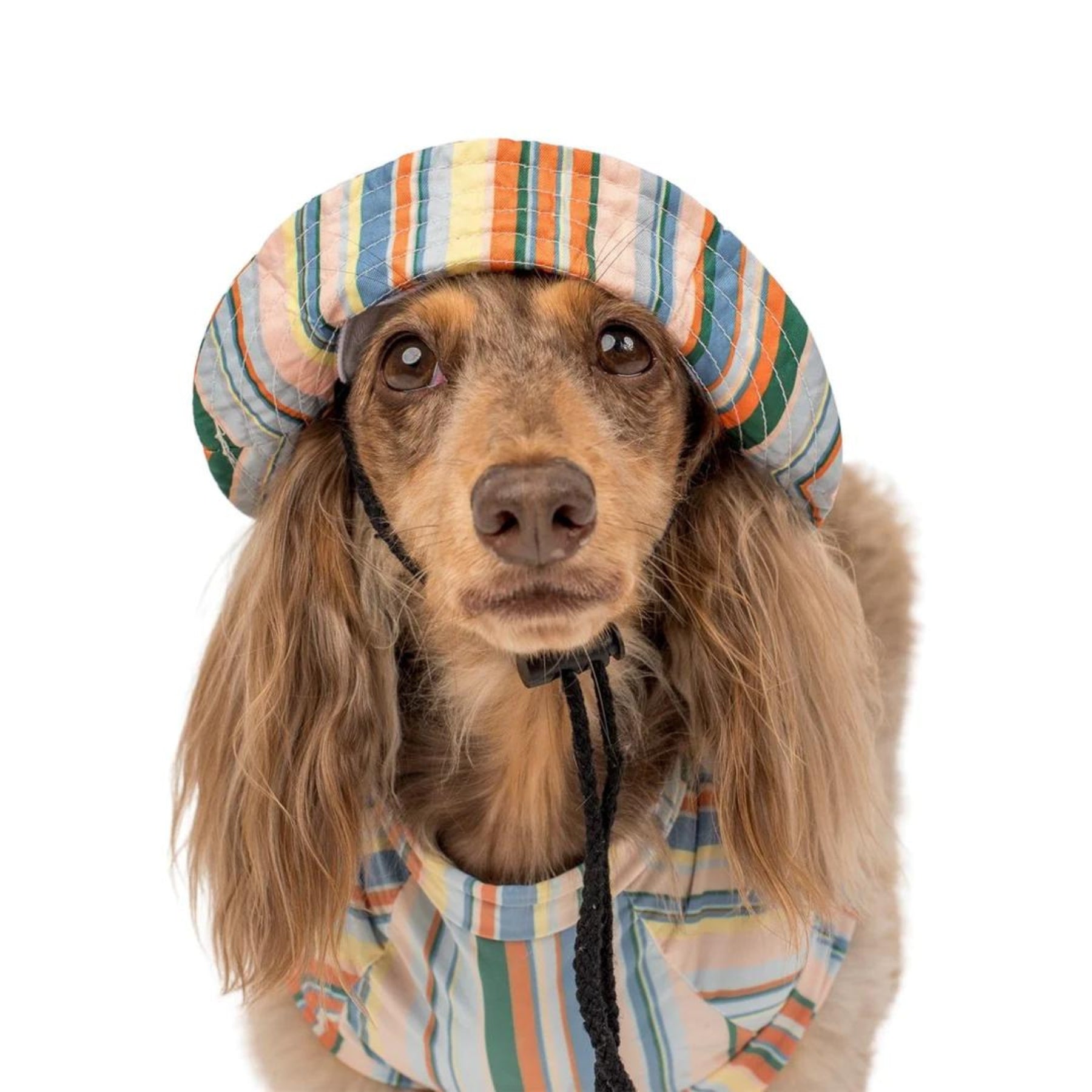 The Cabana Dog Bucket Hat - Pooch Luxury