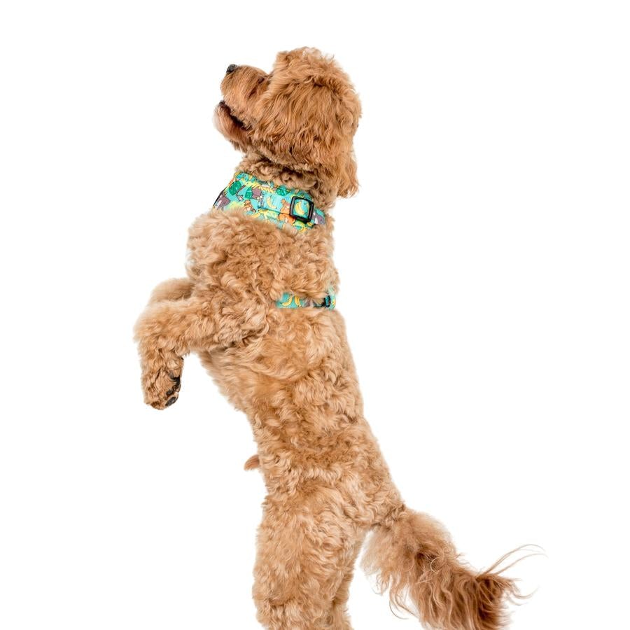 
                  
                    The Jungle Book Adjustable Harness - Pooch Luxury
                  
                