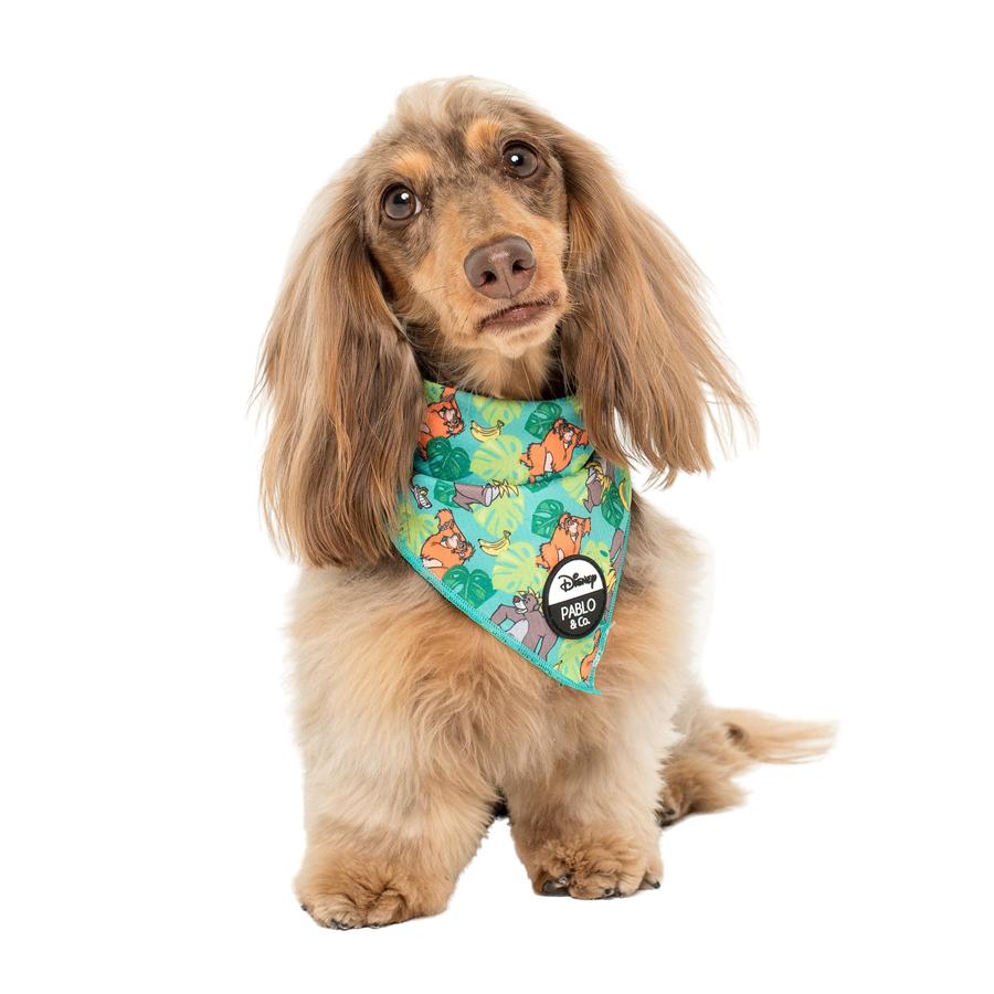 The Jungle Book Dog Bandana - Pooch Luxury