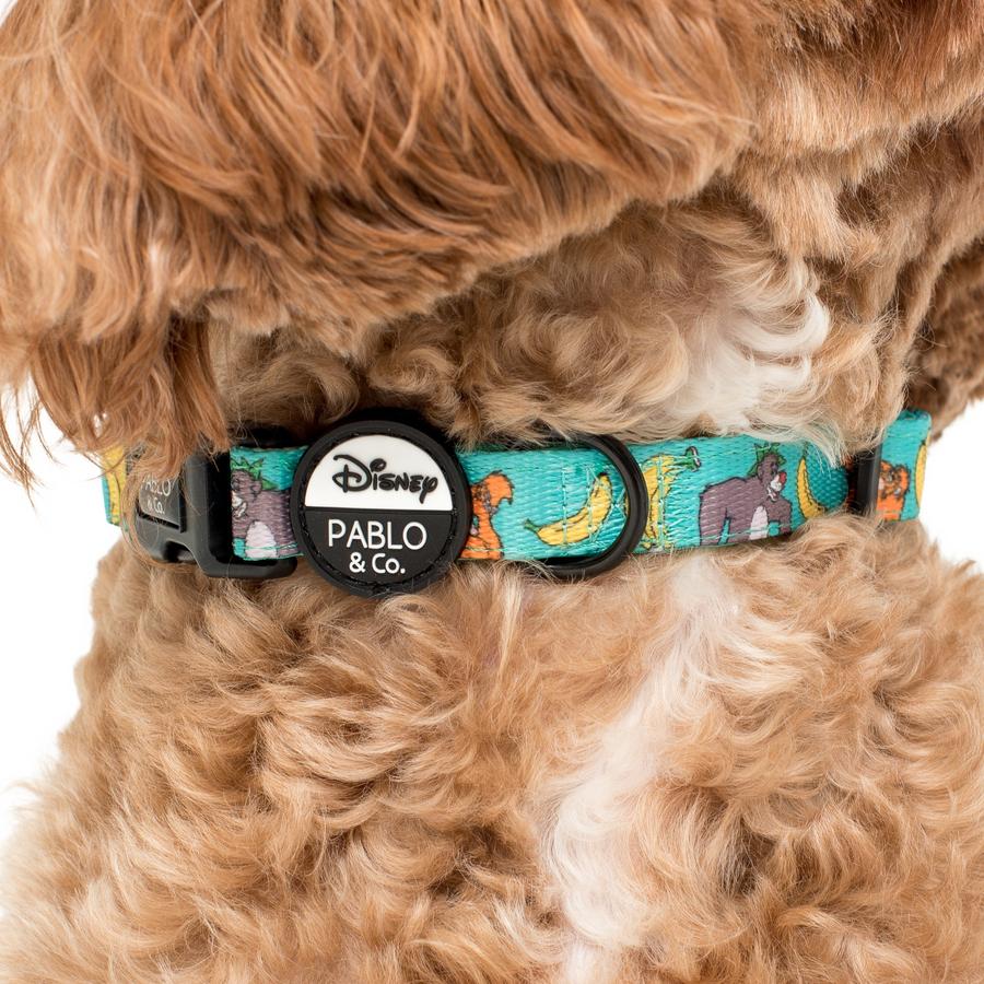 The Jungle Book Dog Collar - Pooch Luxury
