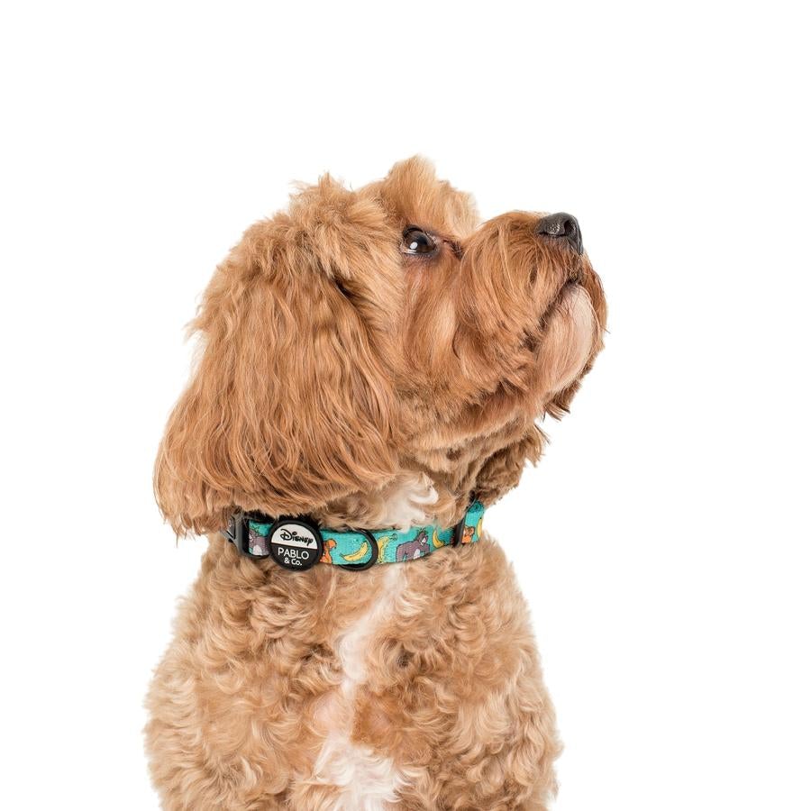 The Jungle Book Dog Collar - Pooch Luxury