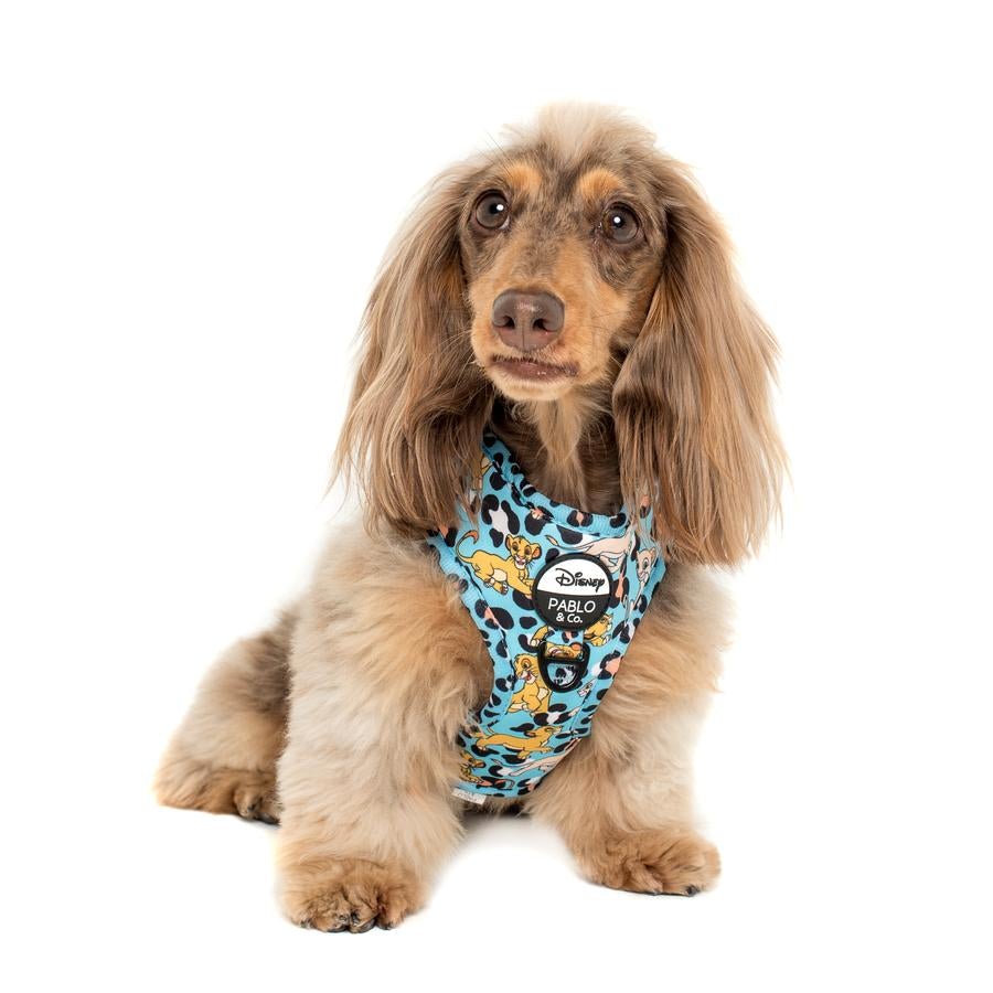 The Lion King Adjustable Harness - Pooch Luxury