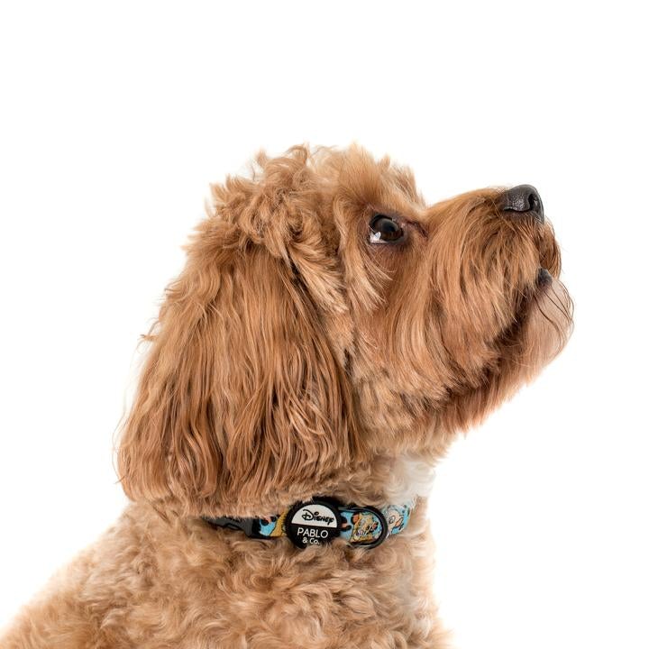The Lion King Dog Collar - Pooch Luxury