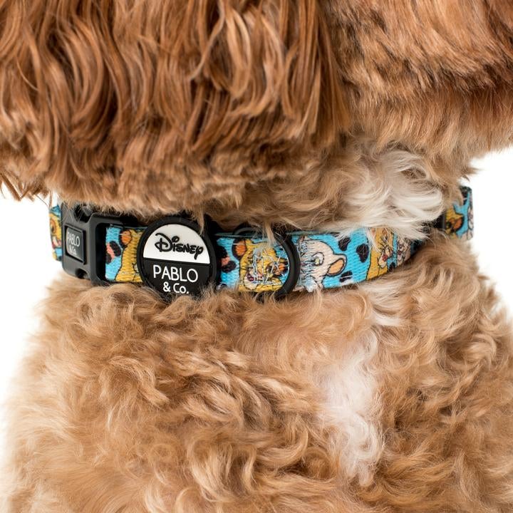 The Lion King Dog Collar - Pooch Luxury