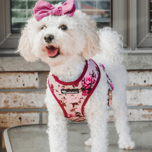 The Maggie Reversible Harness - Pooch Luxury