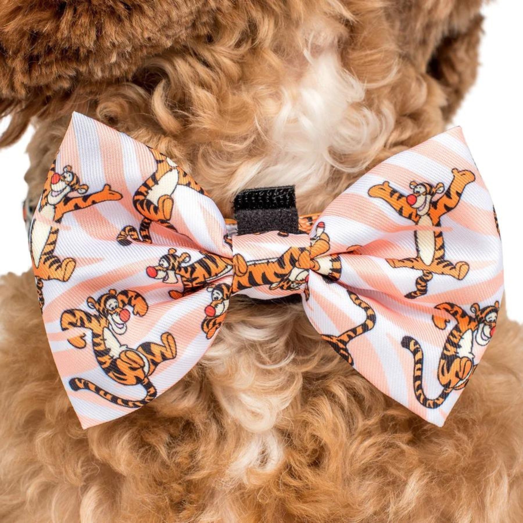 The One of a Kind Tigger Bow Tie - Pooch Luxury