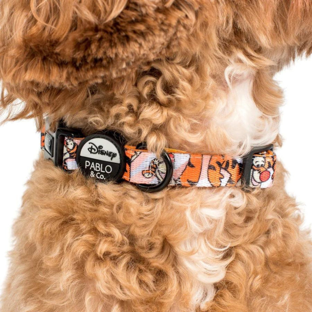 
                      
                        The One of a Kind Tigger Dog Collar - Pooch Luxury
                      
                    