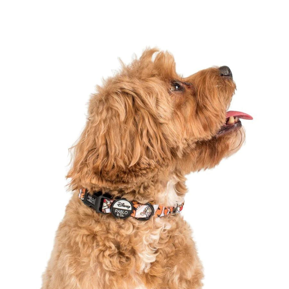 
                      
                        The One of a Kind Tigger Dog Collar - Pooch Luxury
                      
                    