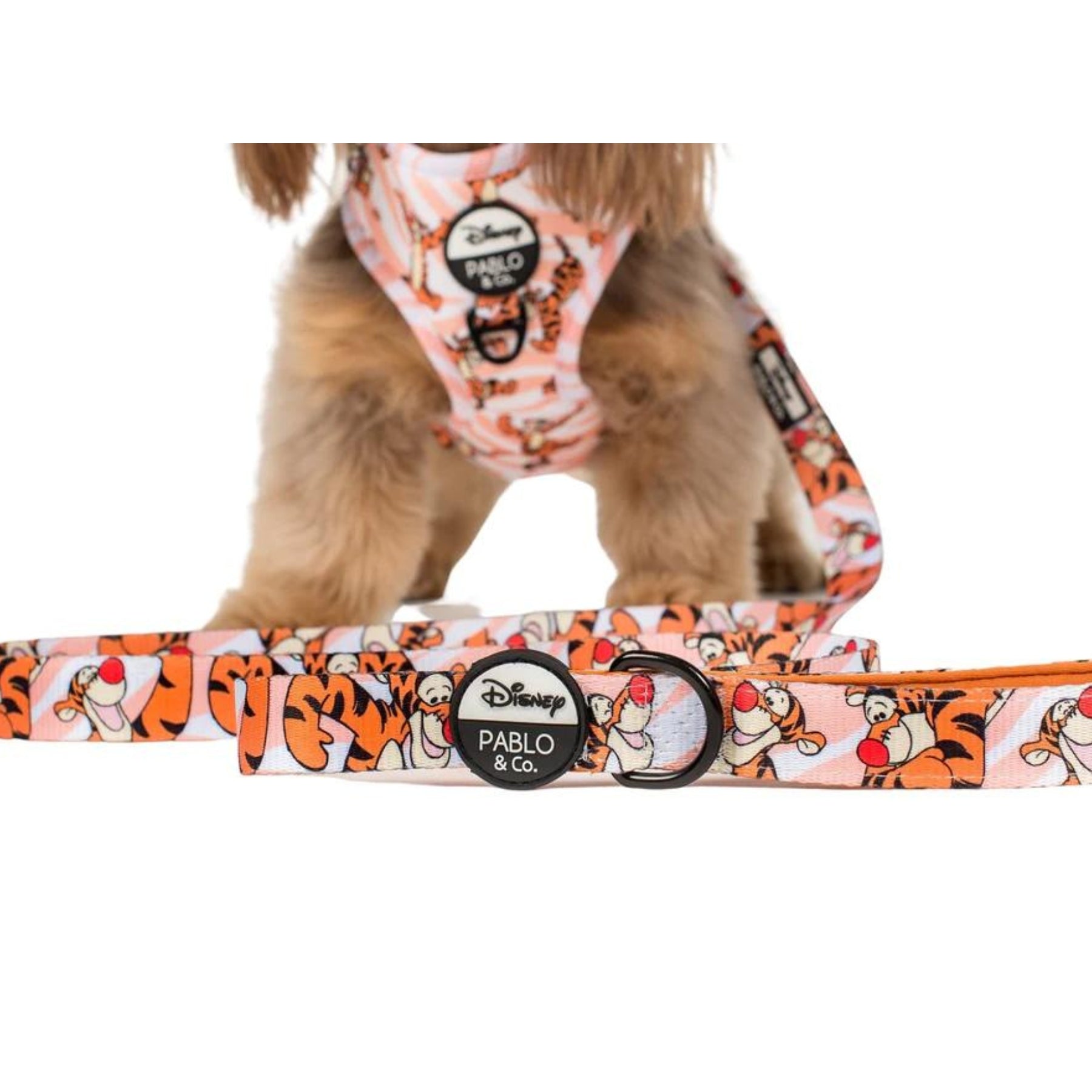 The One of a Kind Tigger Dog Leash - Pooch Luxury