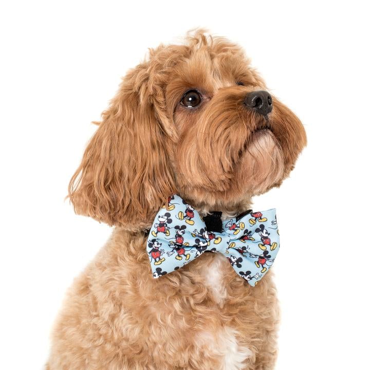 The Original Mickey Mouse Bow Tie - Pooch Luxury
