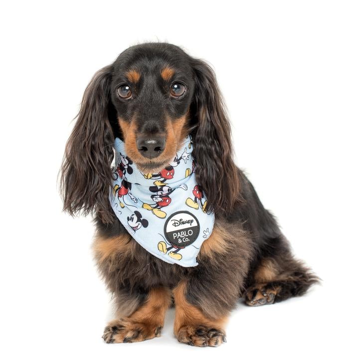 Mickey mouse 2024 dog bandana