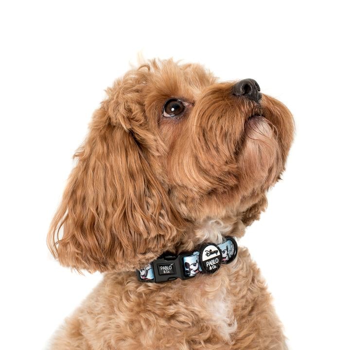 The Original Mickey Mouse Dog Collar - Pooch Luxury