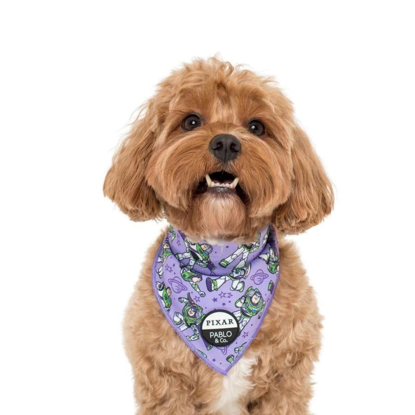 Toy Story - Buzz Lightyear Dog Bandana - Pooch Luxury