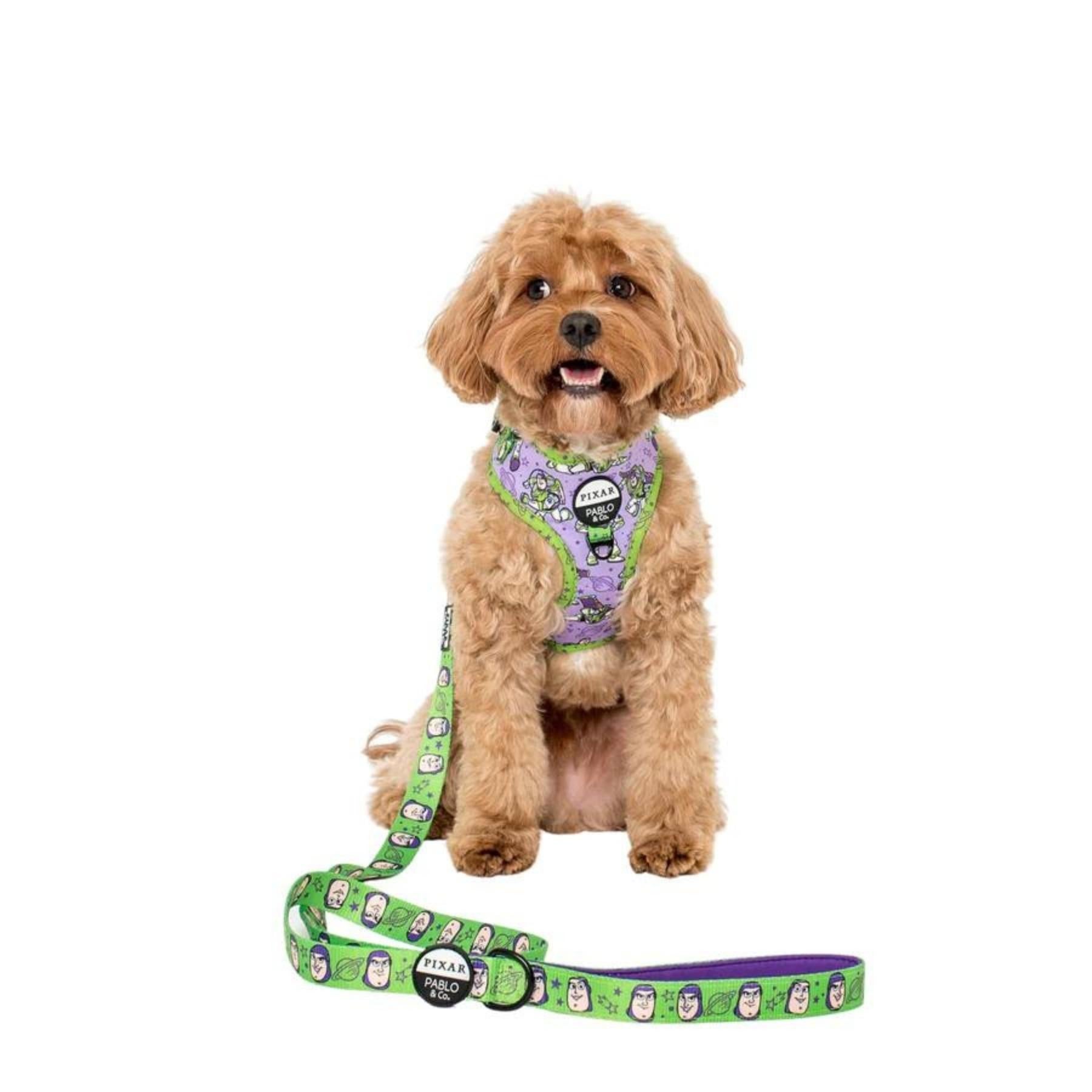 Toy Story - Buzz Lightyear Dog Leash - Pooch Luxury