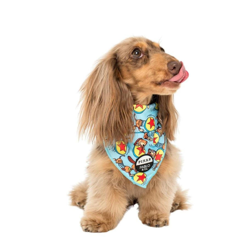 Toy Story - Slinky Dog, Dog Bandana - Pooch Luxury