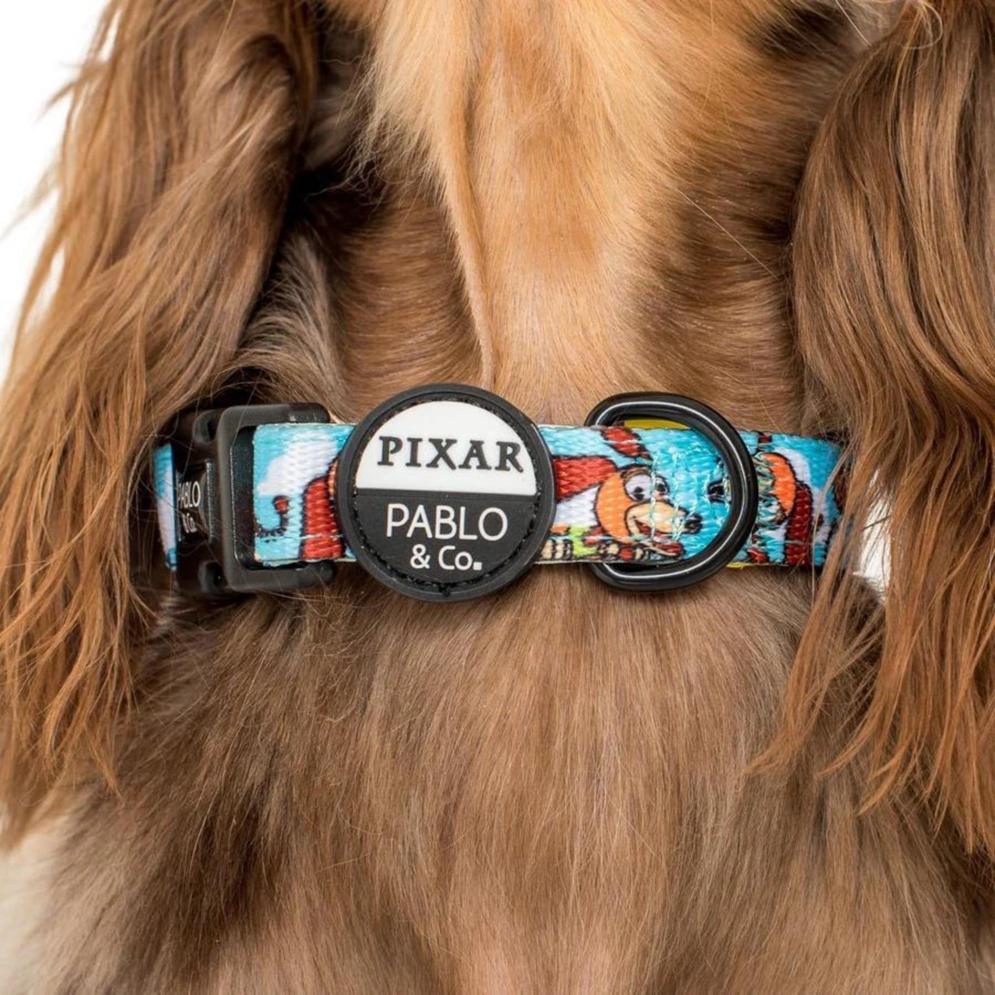 Toy Story - Slinky Dog, Dog Collar - Pooch Luxury