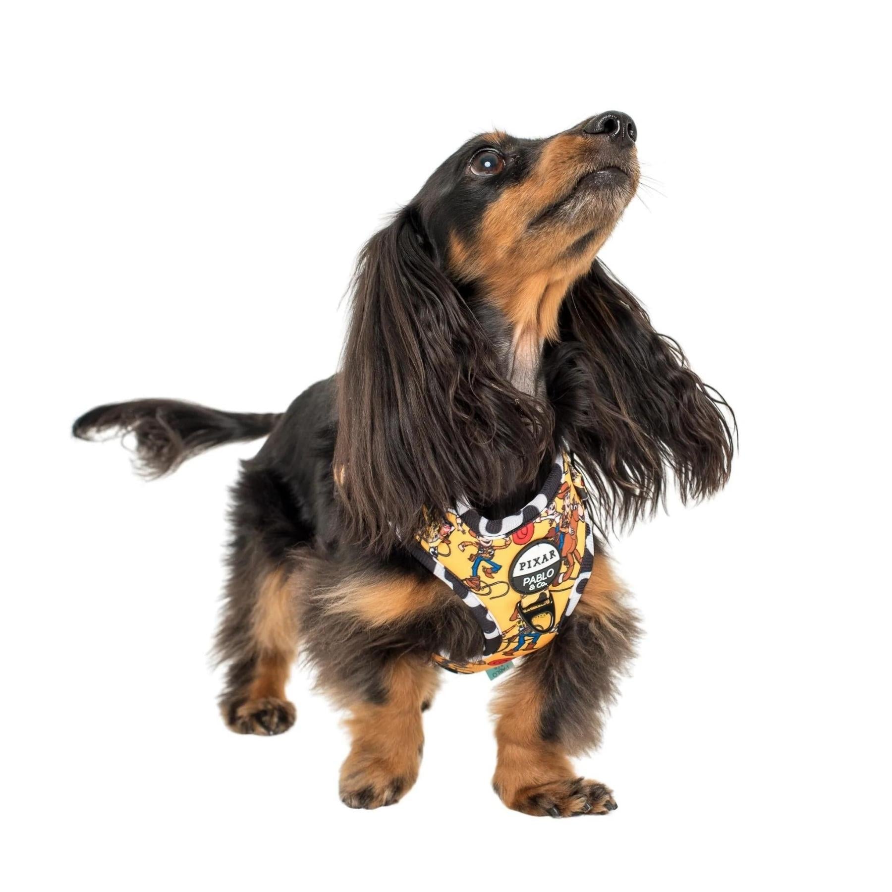 Toy Story - Woody's Roundup Adjustable Harness - Pooch Luxury