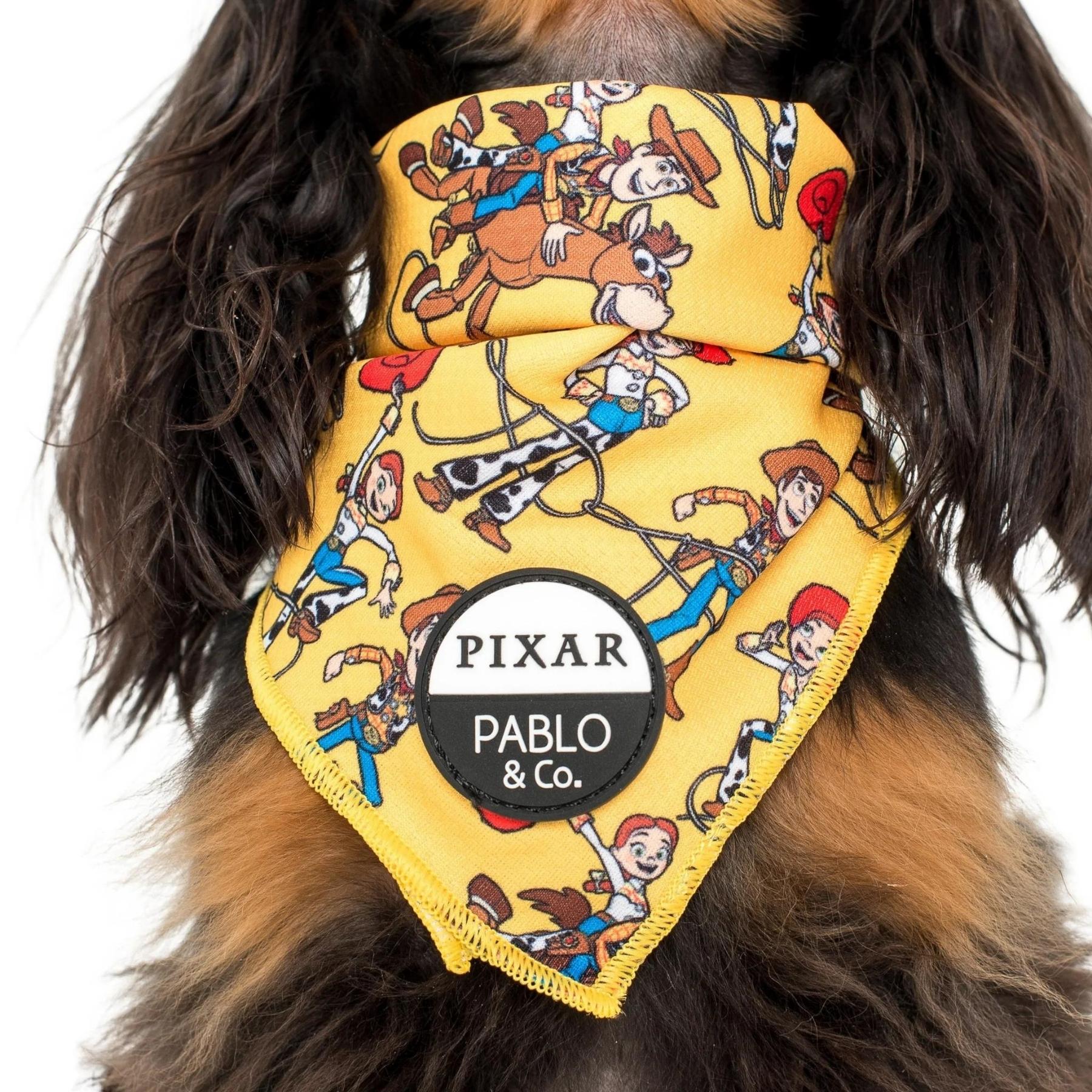Toy Story - Woody's Roundup Dog Bandana - Pooch Luxury