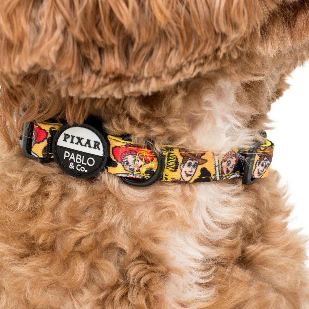 Toy Story - Woody's Roundup Dog Collar - Pooch Luxury
