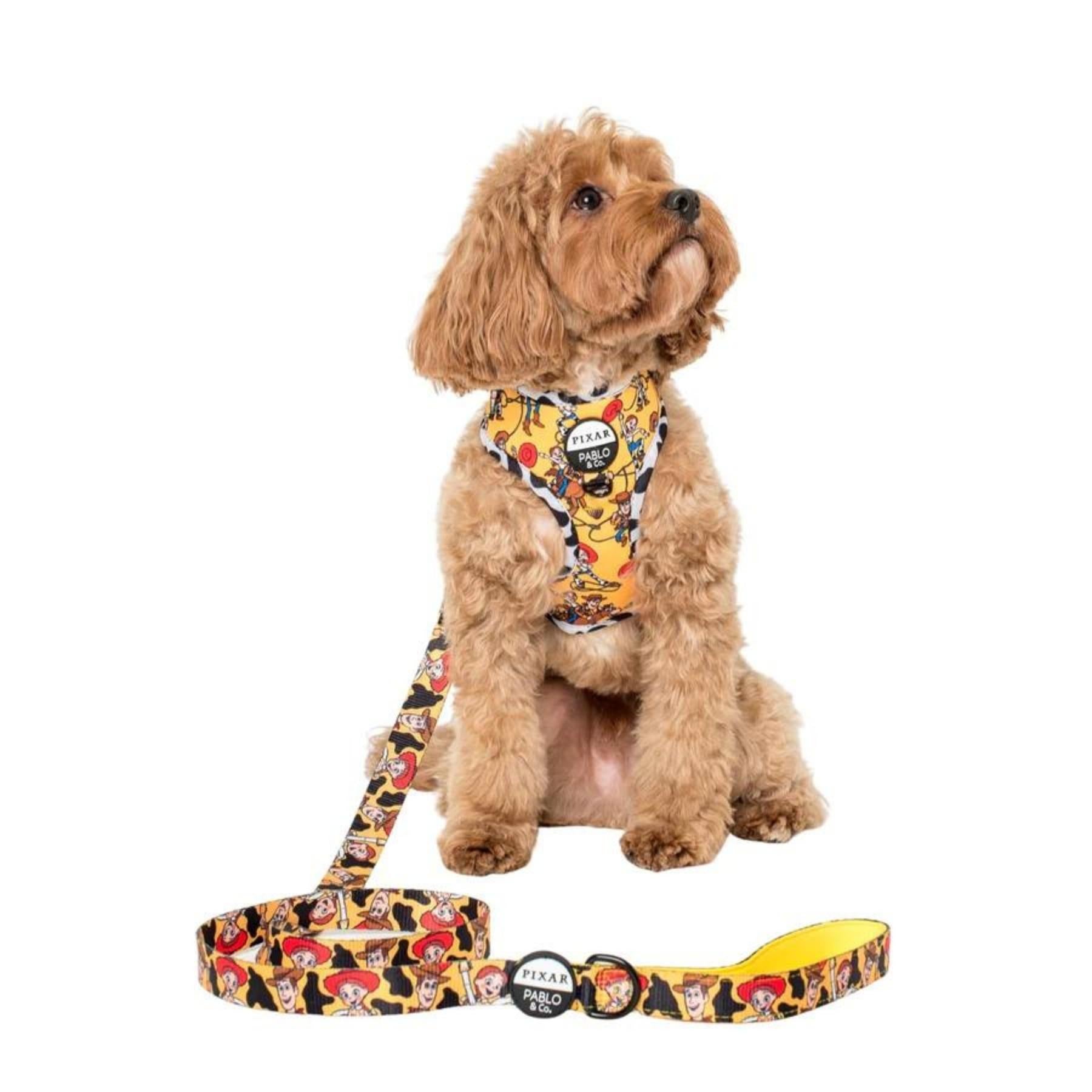 Toy Story - Woody's Roundup Dog Leash - Pooch Luxury