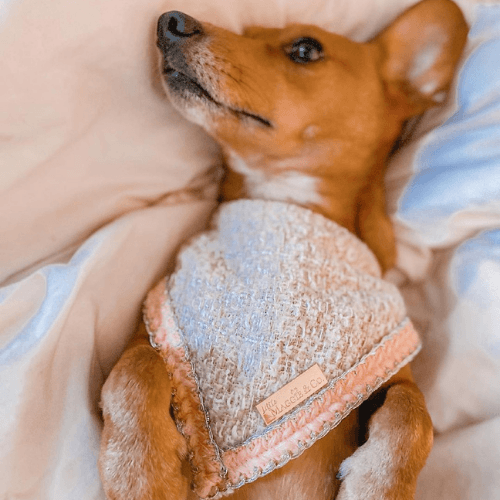 Vogue - The Bailey Dog Bandana - Pooch Luxury