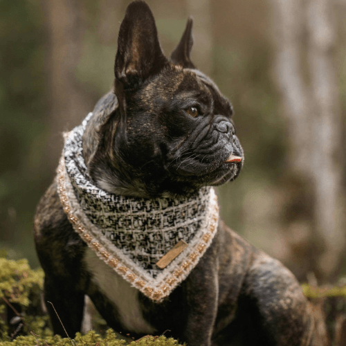 Vogue - The Loulou Dog Bandana - Pooch Luxury