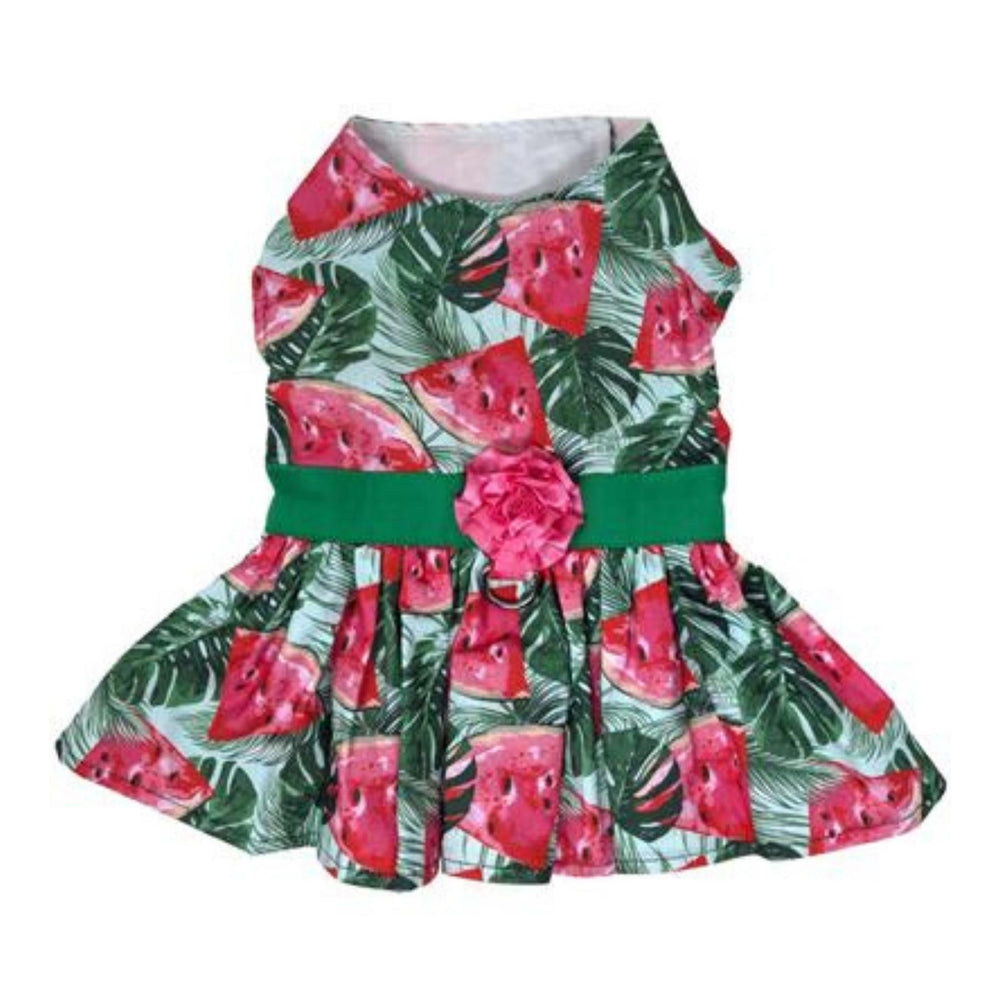 Watermelon Dress with Matching Leash - Pooch Luxury