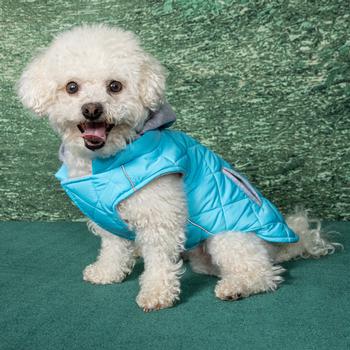 Weekender Dog Sweatshirt Hoodie - Light Blue - Pooch Luxury