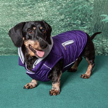 
                      
                        Weekender Dog Sweatshirt Hoodie - Purple - Pooch Luxury
                      
                    