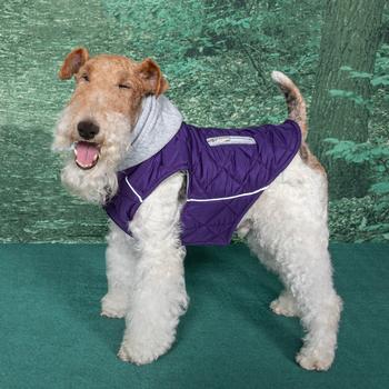 Weekender Dog Sweatshirt Hoodie - Purple - Pooch Luxury