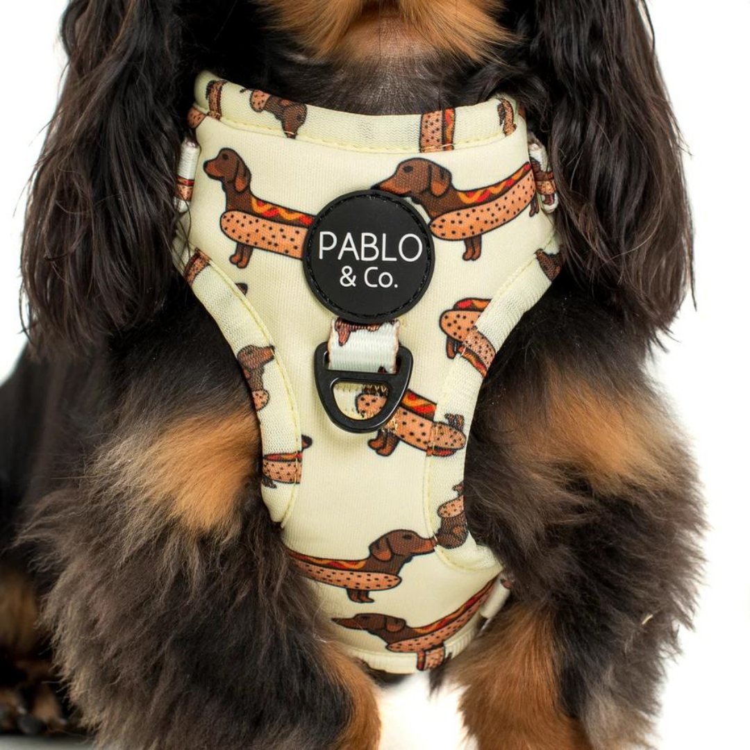 Wiener Dogs Adjustable Harness - Pooch Luxury