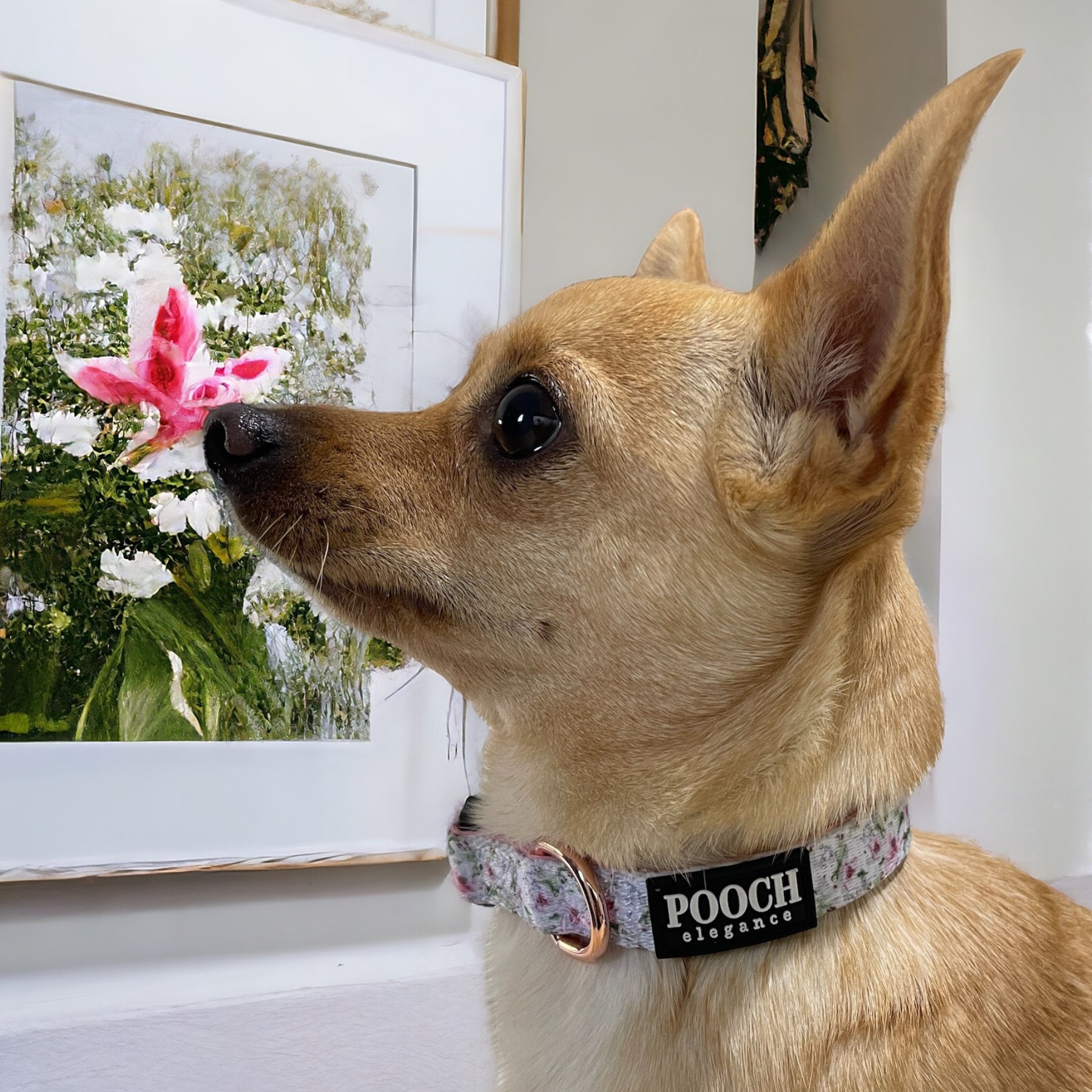 Wild Lily Dog Collar - Pooch Luxury