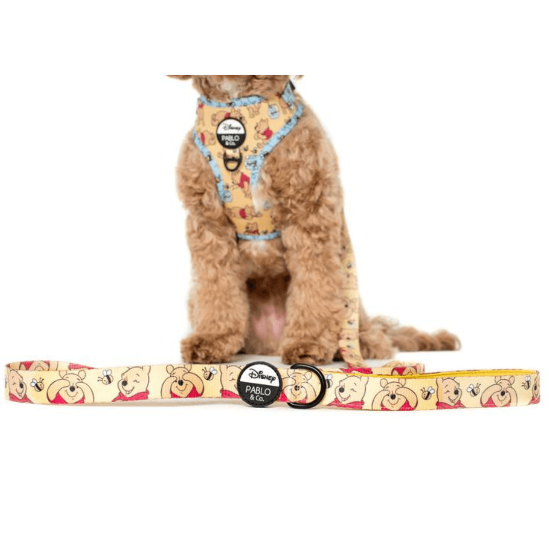Winnie The Pooh & Bee's Dog Leash - Pooch Luxury