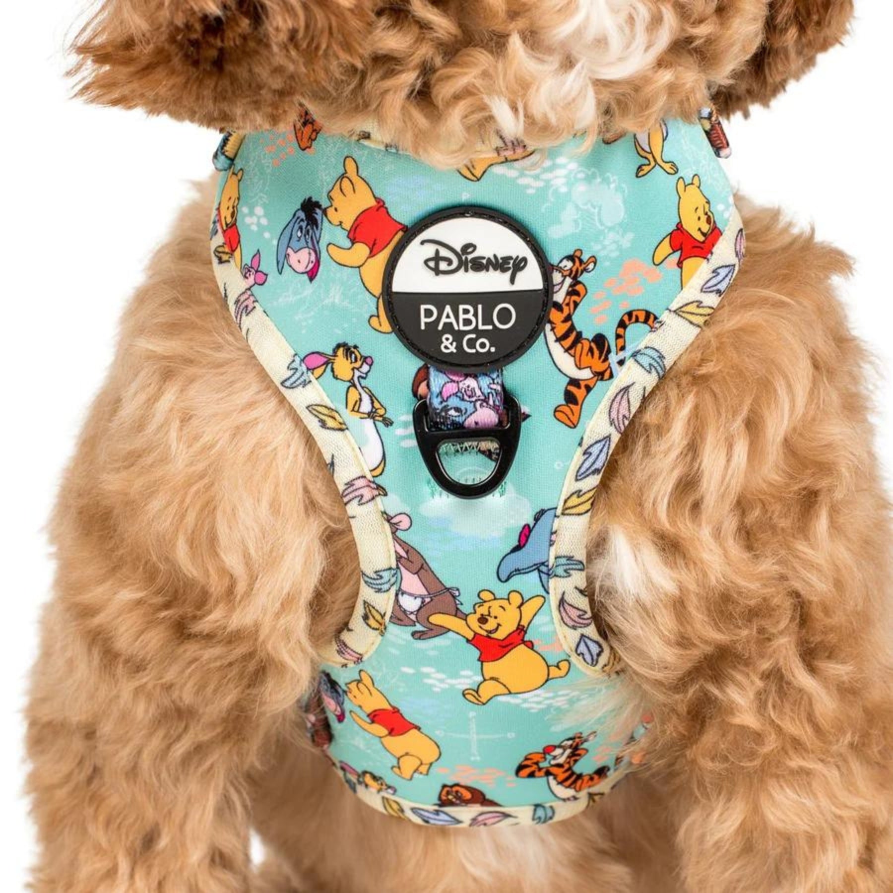 Winnie The Pooh & Forest Friends Adjustable Harness - Pooch Luxury