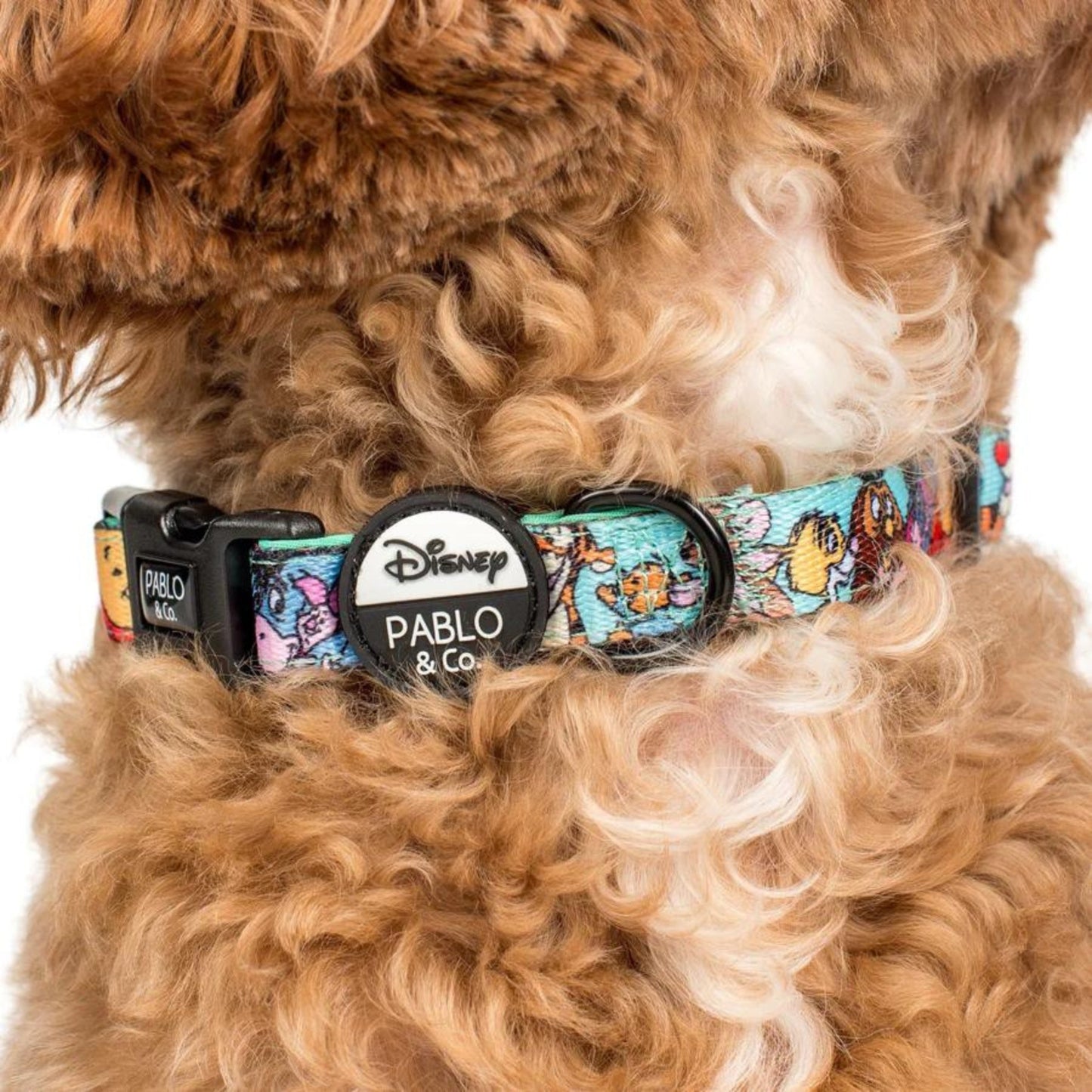 Winnie the Pooh & Forest Friends Dog Collar - Pooch Luxury