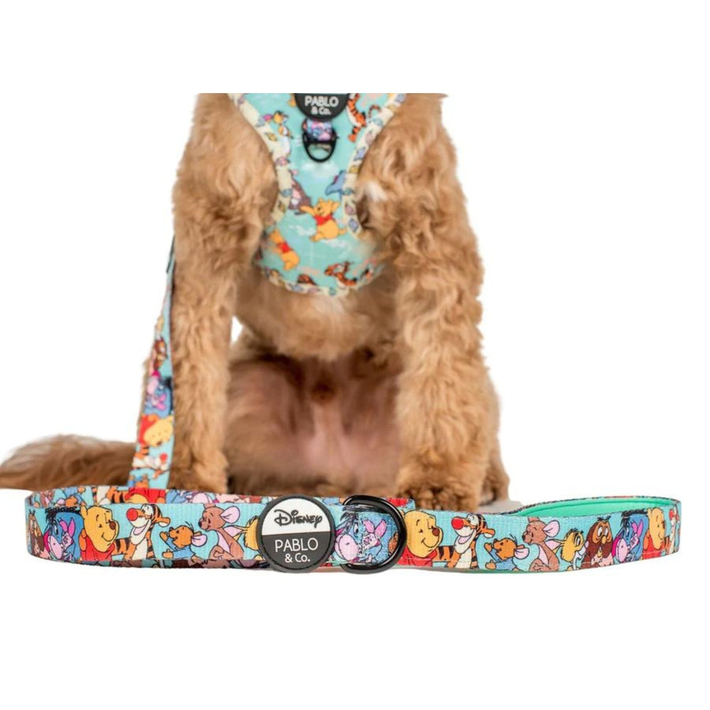 Winnie The Pooh & Forest Friends Dog Leash - Pooch Luxury