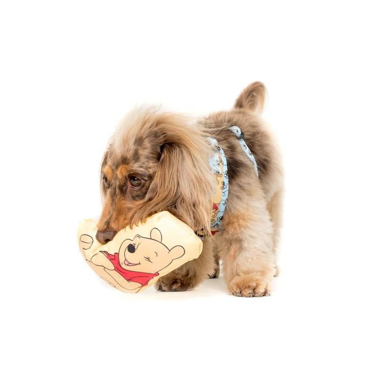 Winnie The Pooh Squeaky Toy - Pooch Luxury
